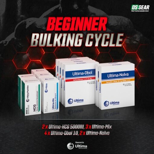 Beginner Bulking Cycle is a complete, structured anabolic stack designed for new users entering performance enhancement research. Built for clean muscle growth, strength gains, recovery support Beginner Bulking Cycle is a complete, structured anabolic stack designed for new users entering performance enhancement research. Built for clean muscle growth, strength gains, recovery support