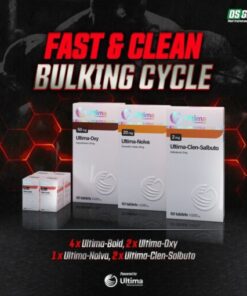 Fast & Clean Bulking Cycle